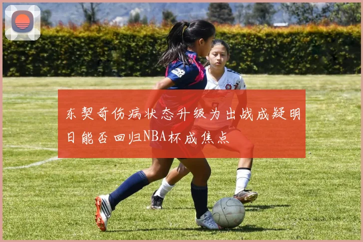 东契奇伤病状态升级为出战成疑明日能否回归NBA杯成焦点