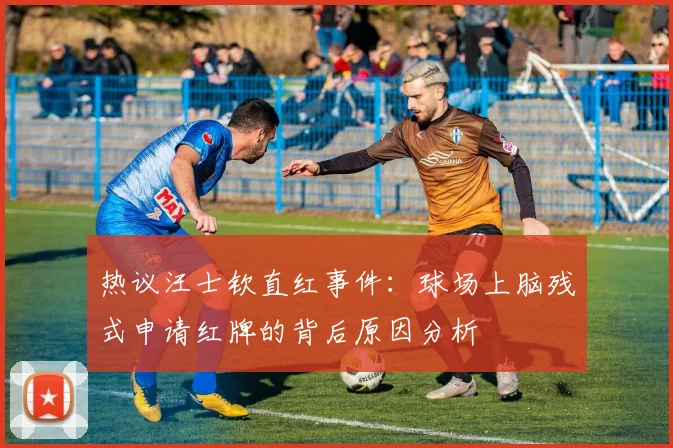 热议汪士钦直红事件：球场上脑残式申请红牌的背后原因分析