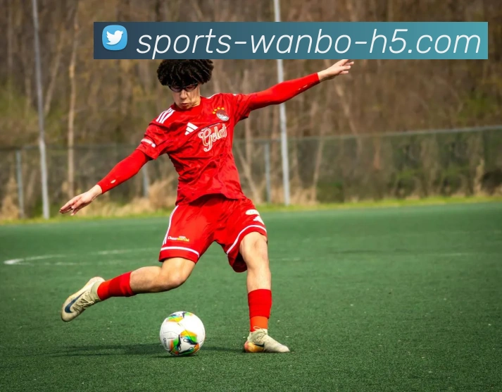 App Interface Preview